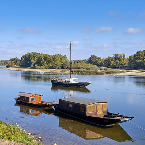 Randonnées et balades à vélo à Saumur et Angers